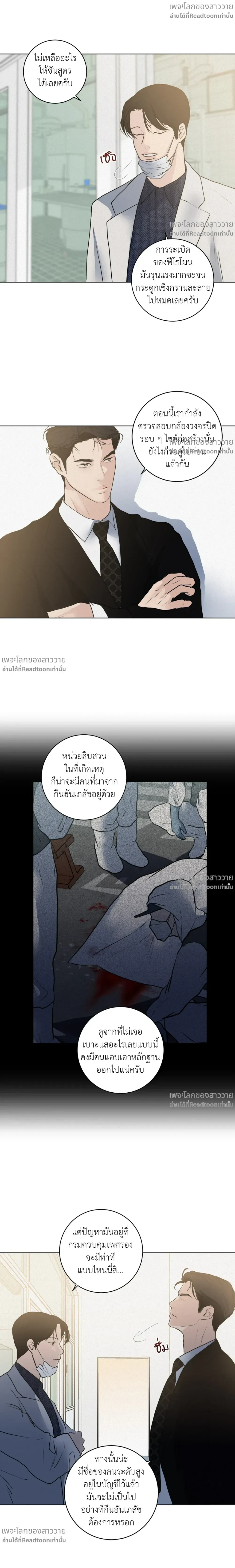 หน้าที่ 17