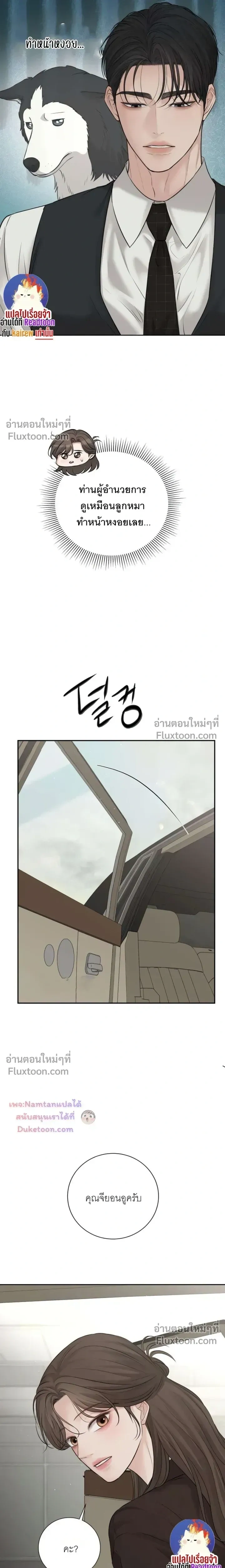 หน้าที่ 13
