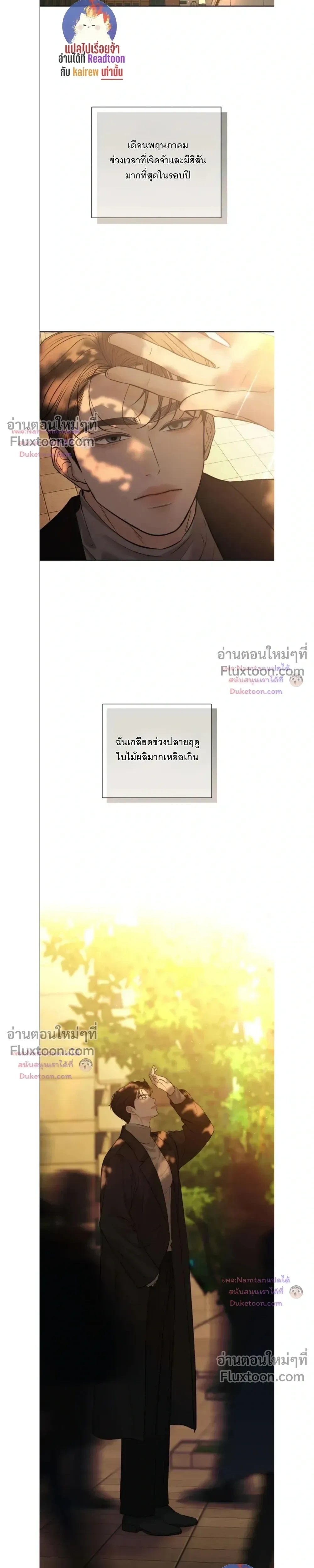 หน้าที่ 17