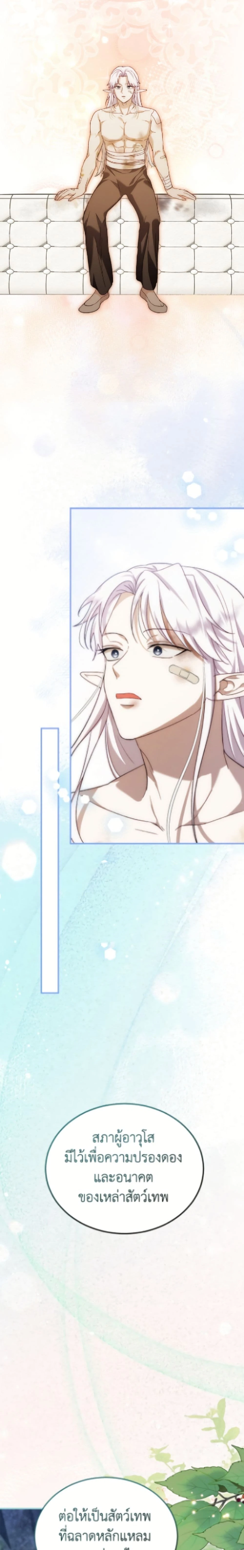 หน้าที่ 21