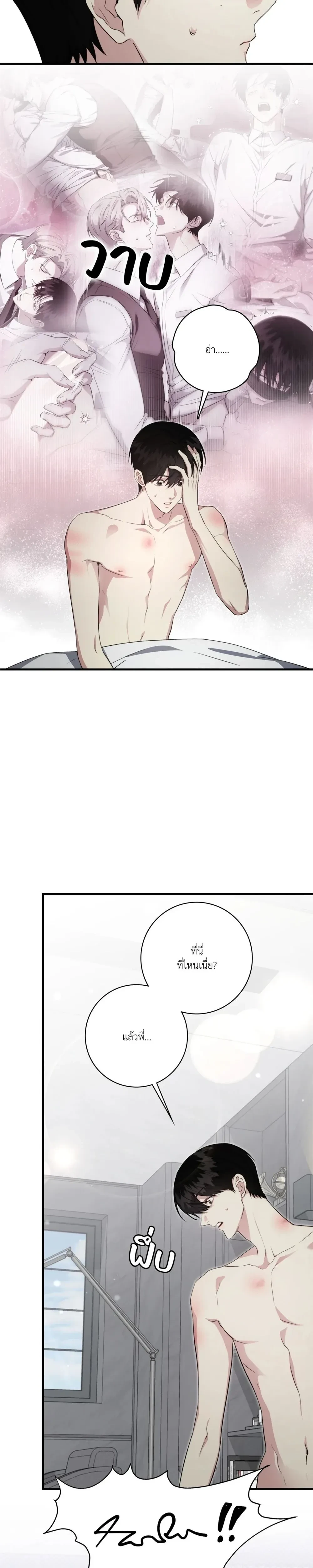 หน้าที่ 11