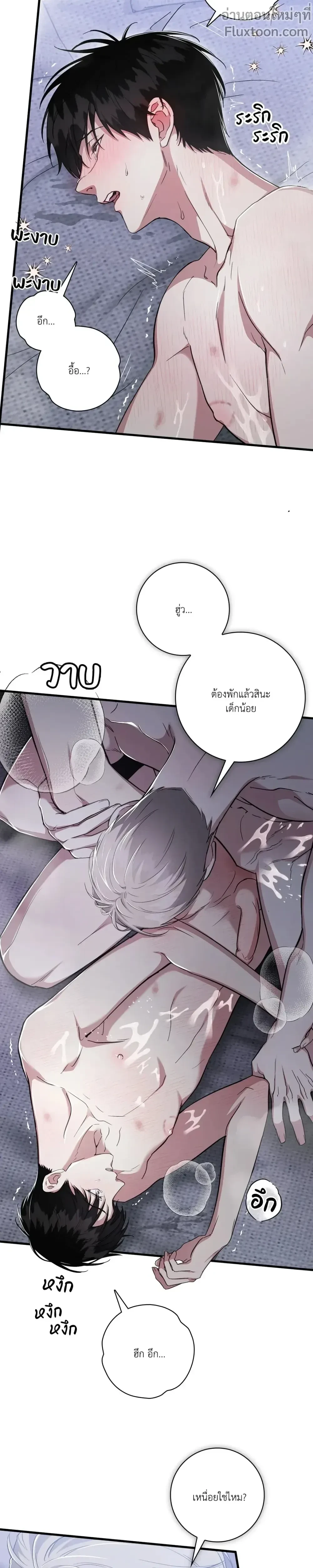 หน้าที่ 11