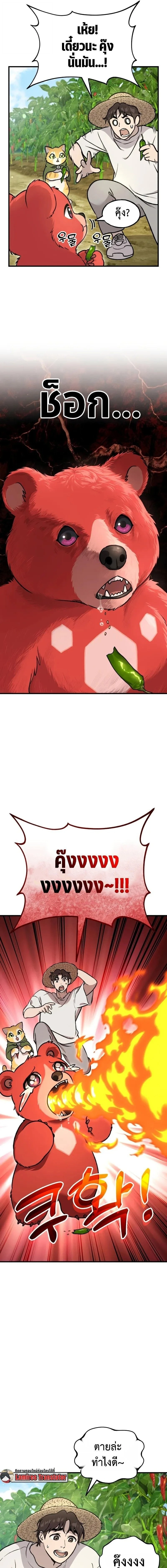 หน้าที่ 3