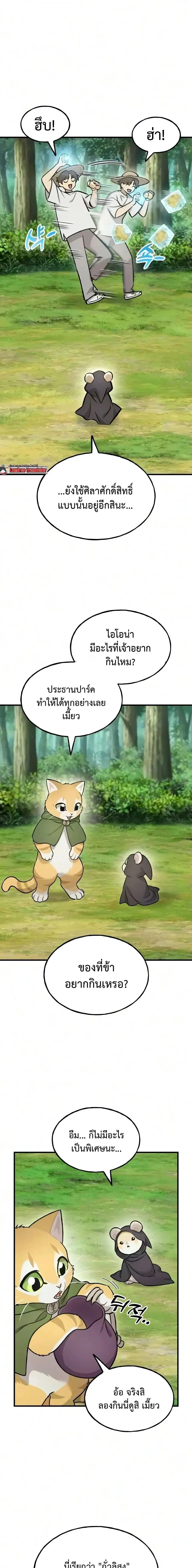 หน้าที่ 13