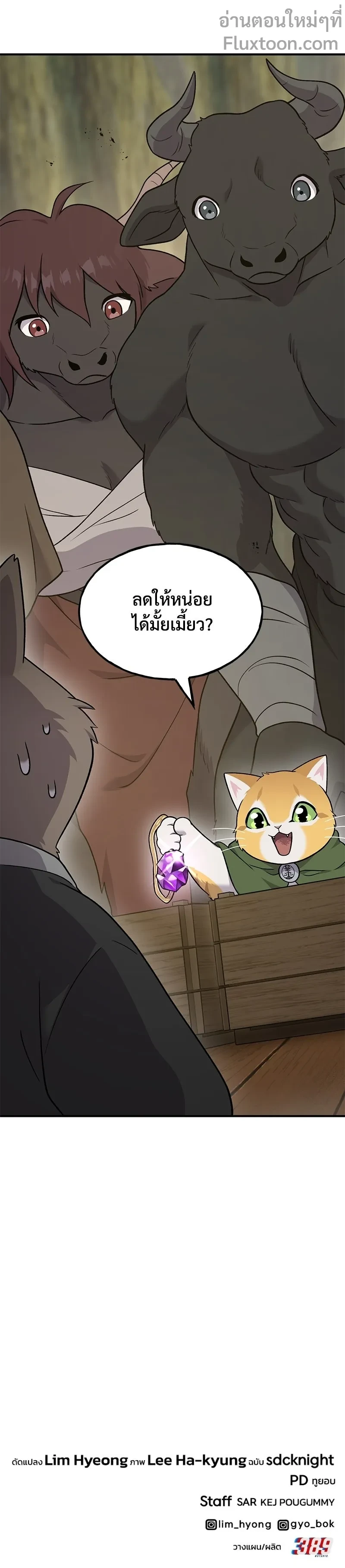 หน้าที่ 29