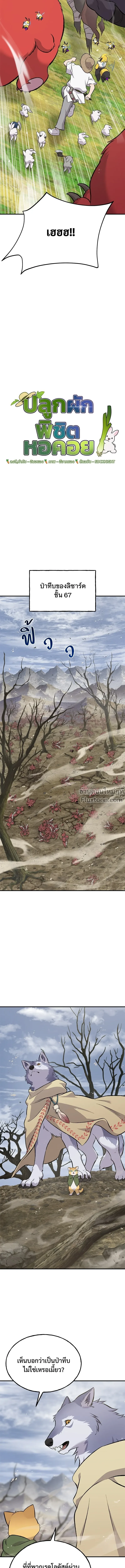 หน้าที่ 24