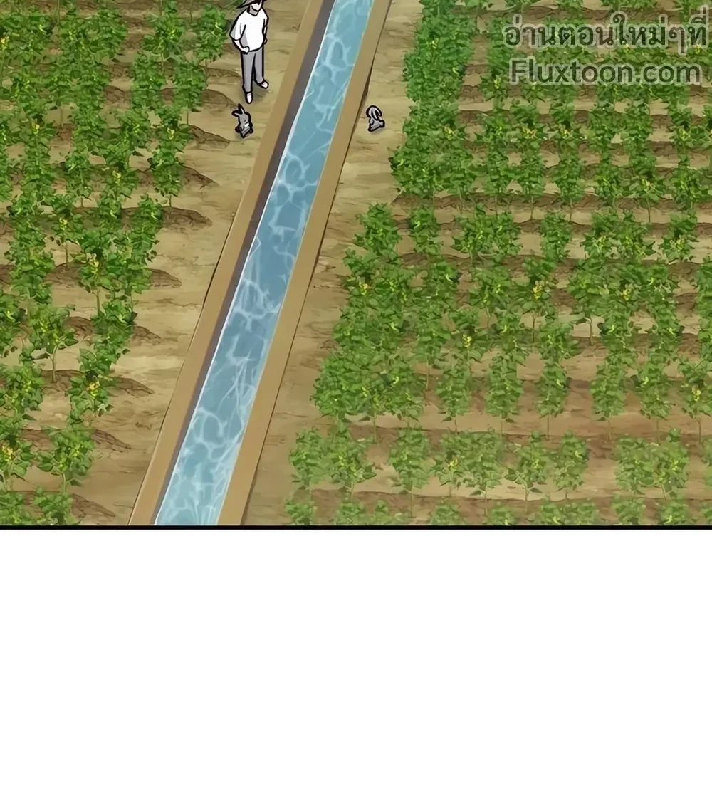 หน้าที่ 43