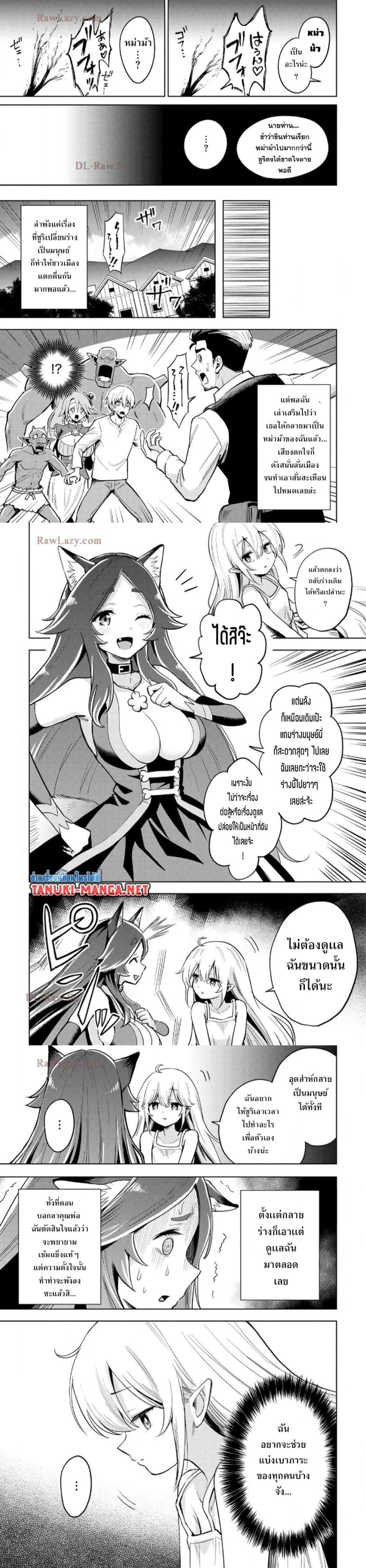 หน้าที่ 4