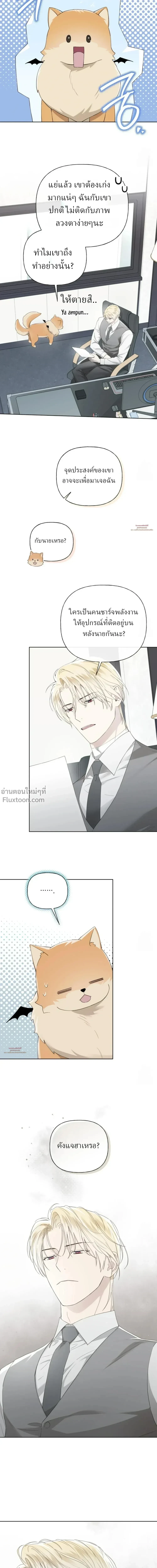 หน้าที่ 14