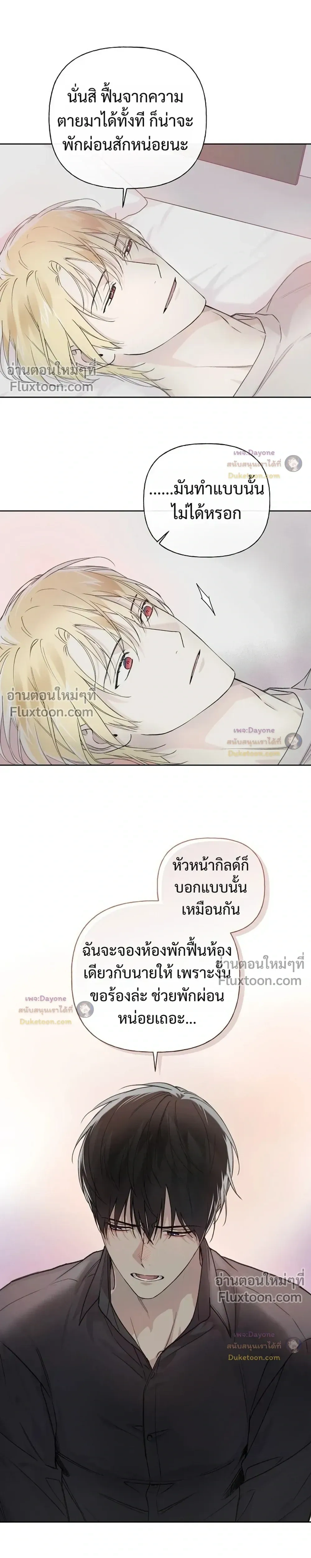 หน้าที่ 17