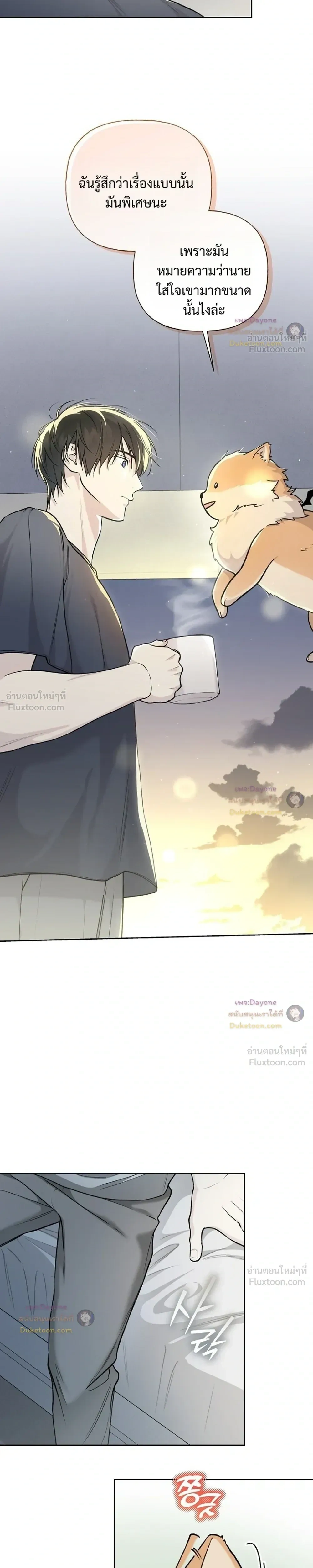หน้าที่ 13