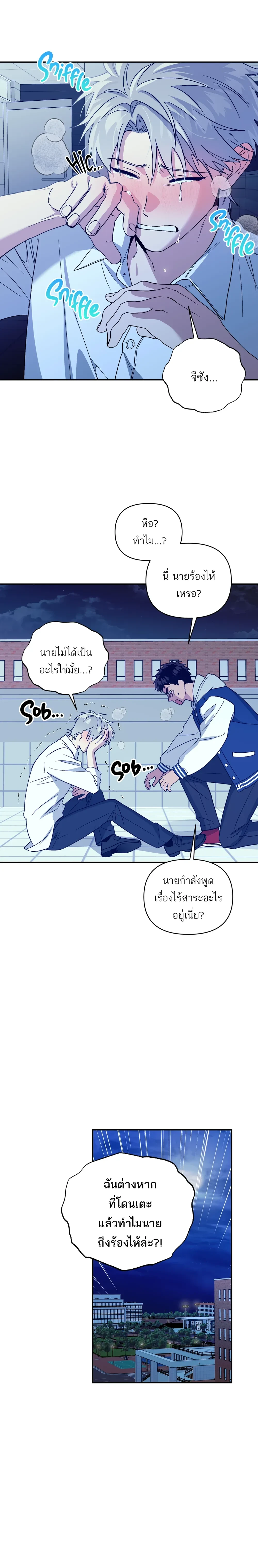 หน้าที่ 17