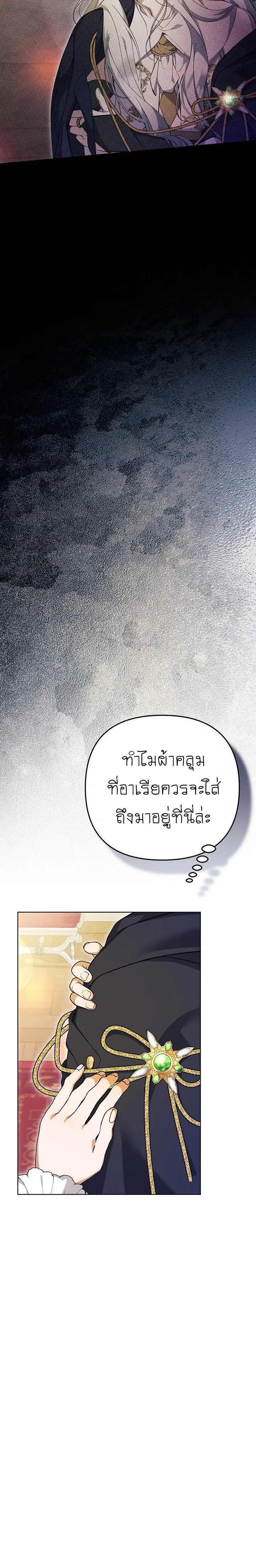 หน้าที่ 29