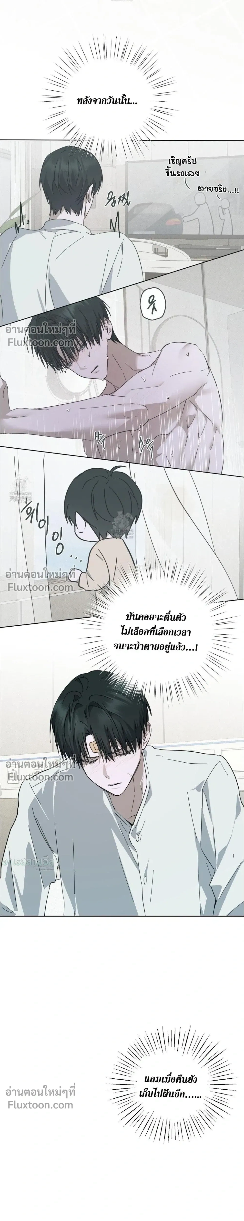 หน้าที่ 13