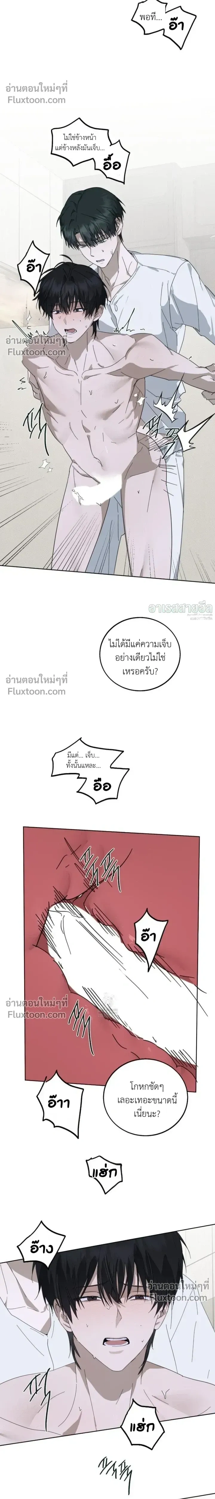 หน้าที่ 12