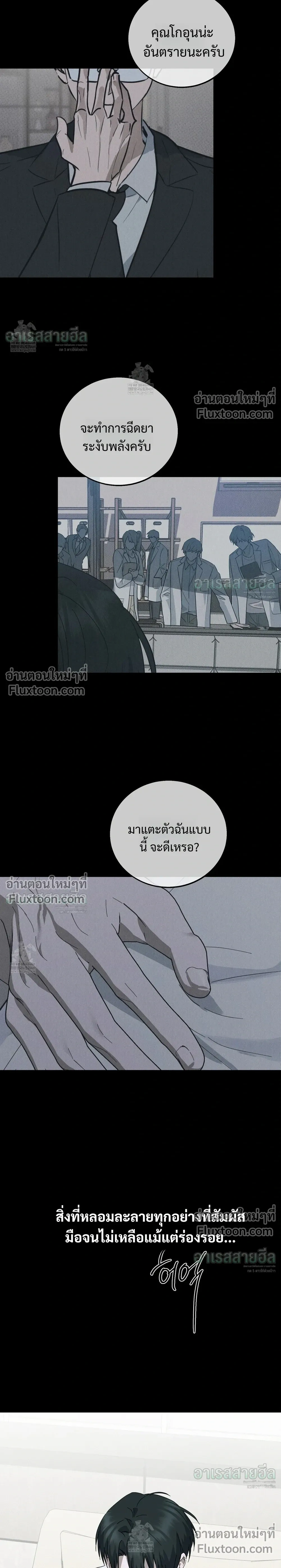 หน้าที่ 13