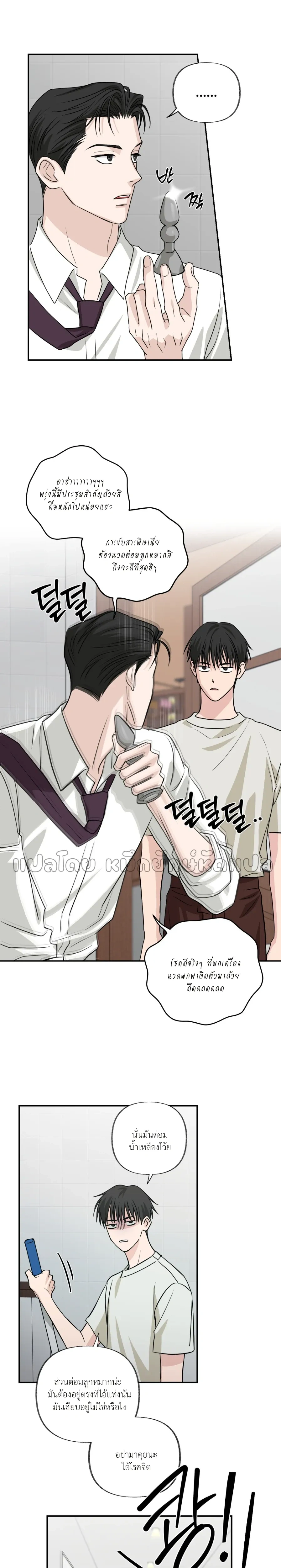 หน้าที่ 13