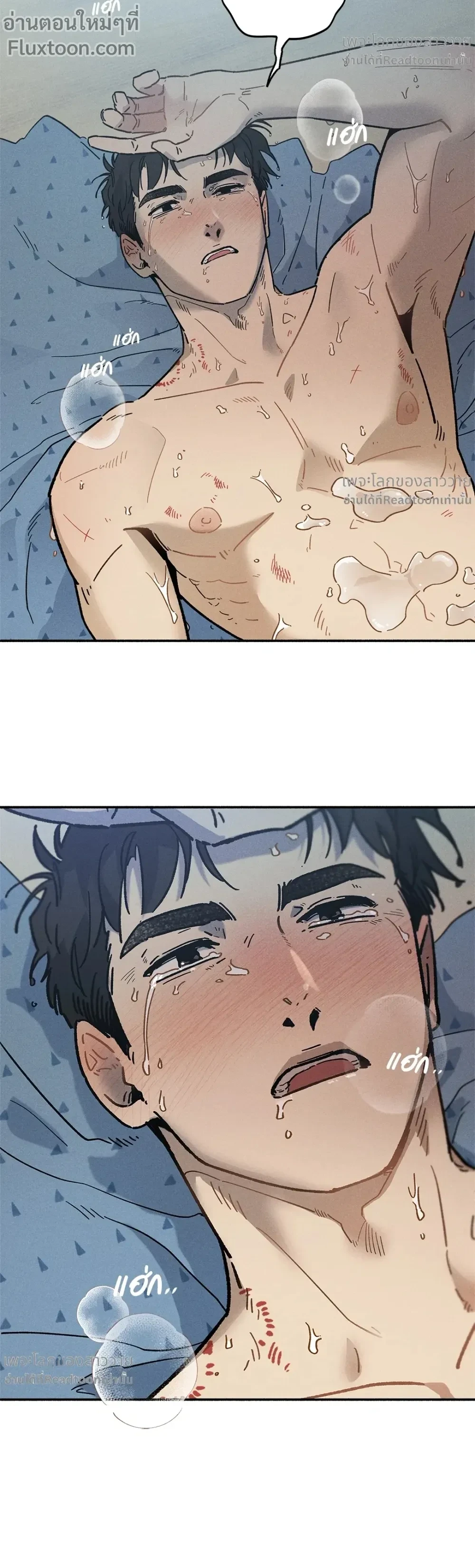 หน้าที่ 15