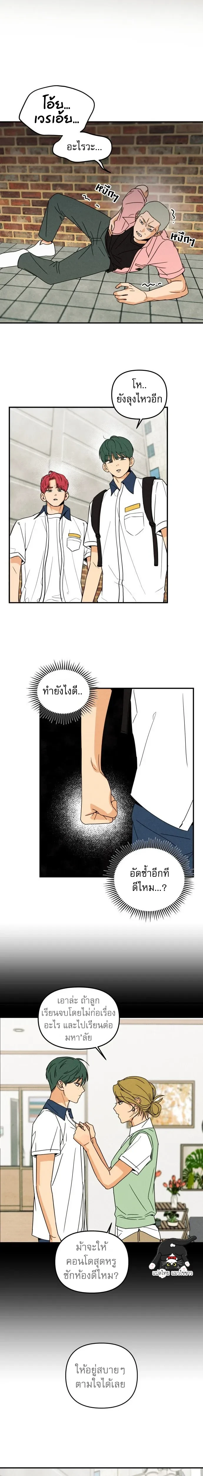 หน้าที่ 5
