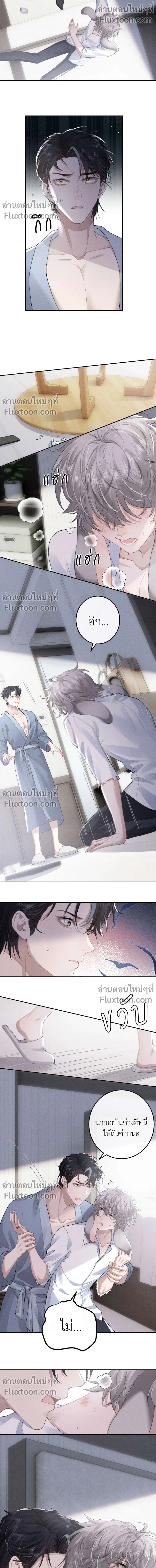 หน้าที่ 8