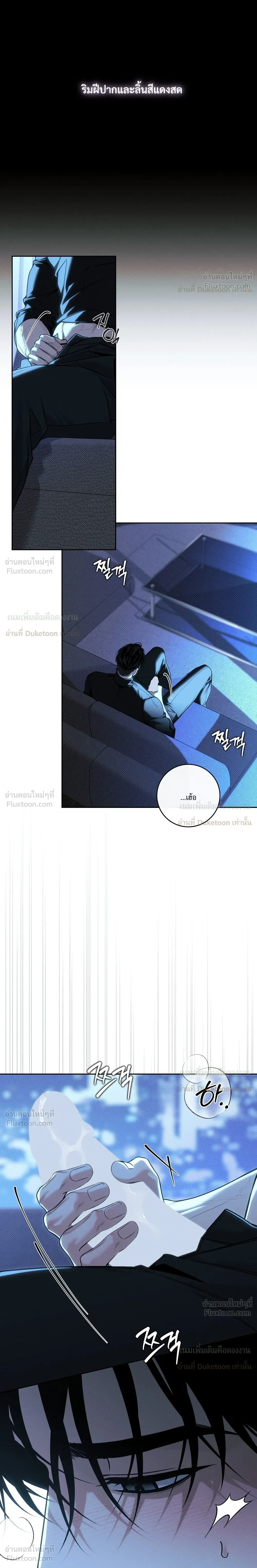 หน้าที่ 13