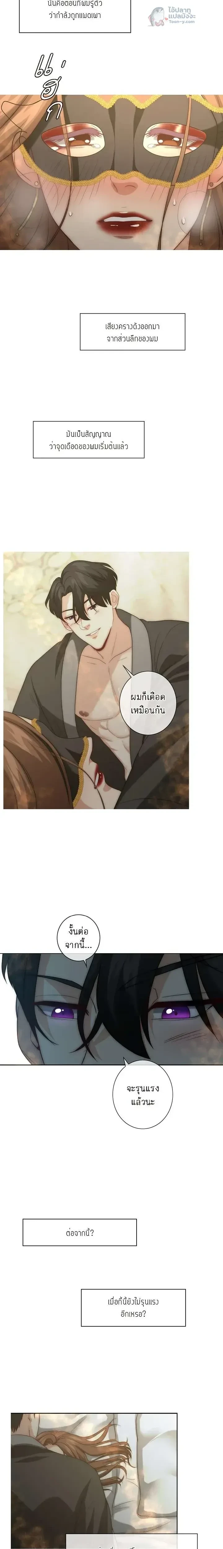 หน้าที่ 17