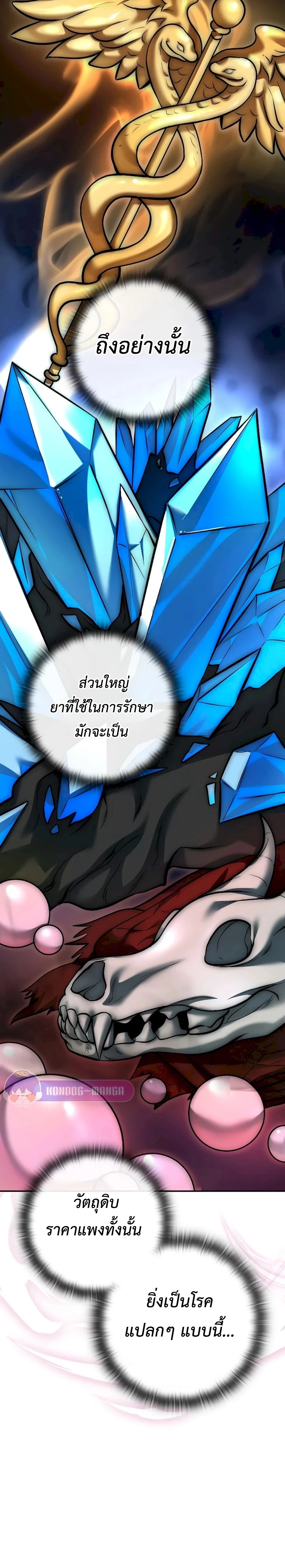 หน้าที่ 22