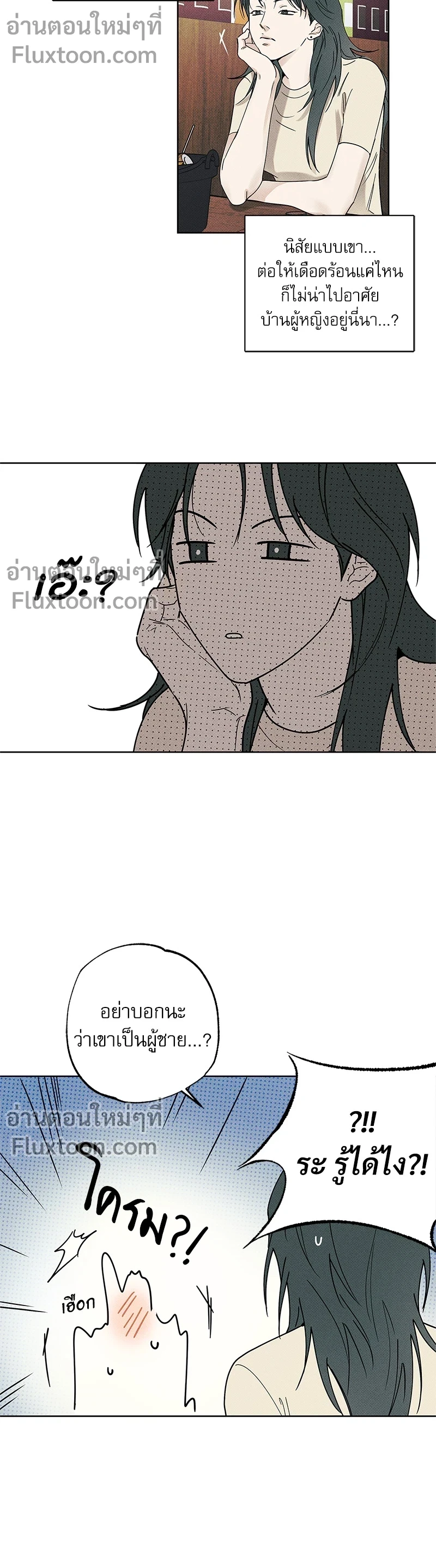 หน้าที่ 13