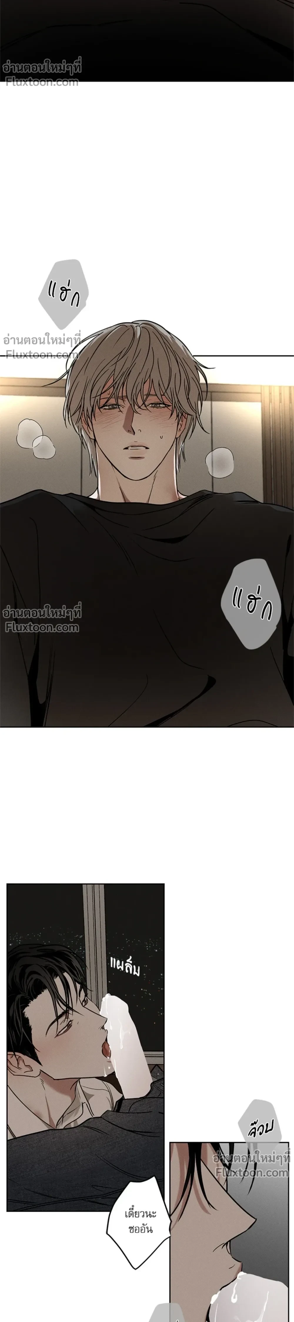 หน้าที่ 17