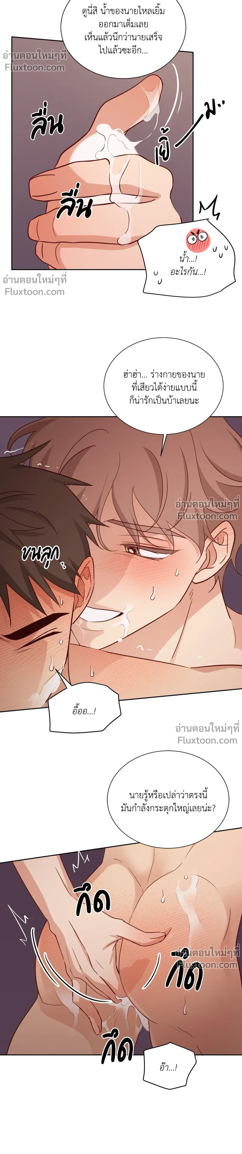 หน้าที่ 13