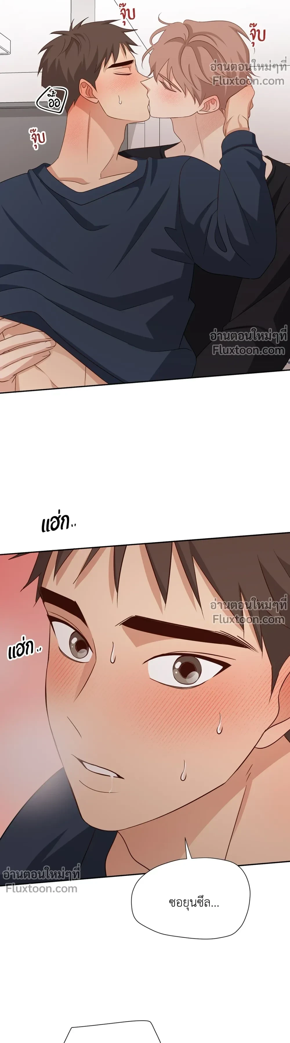 หน้าที่ 17