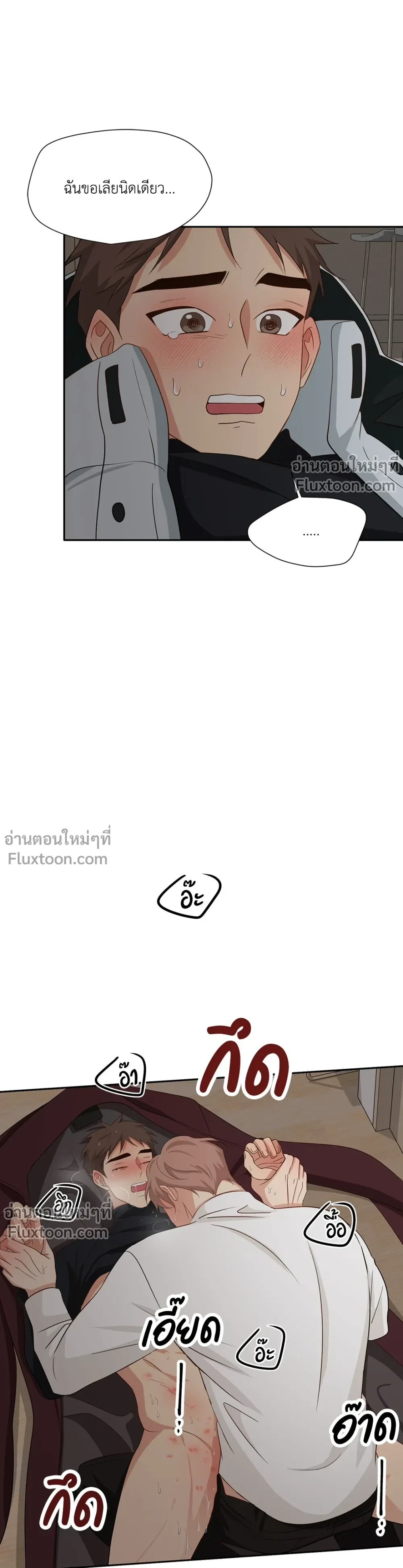 หน้าที่ 13
