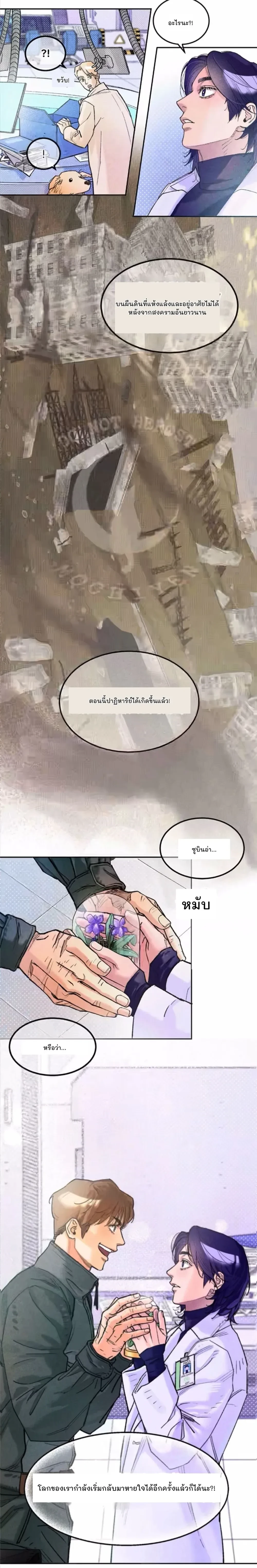 หน้าที่ 13