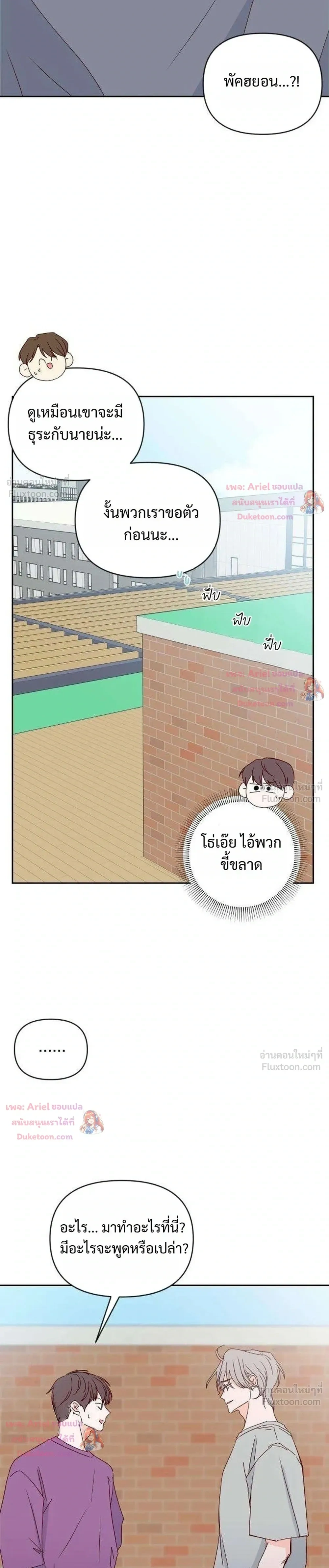 หน้าที่ 13