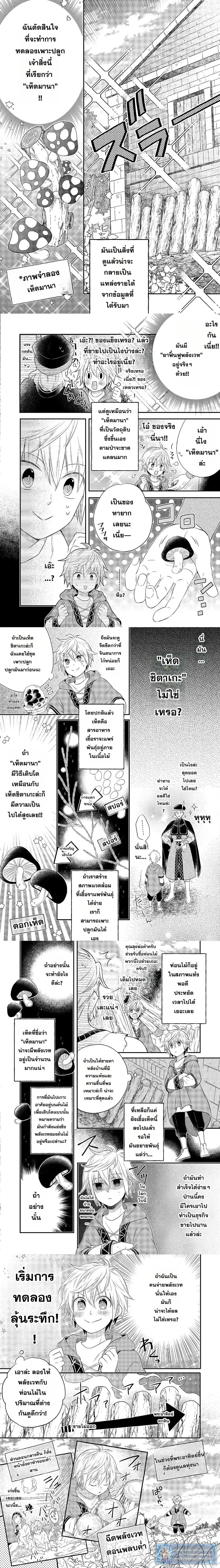 หน้าที่ 3