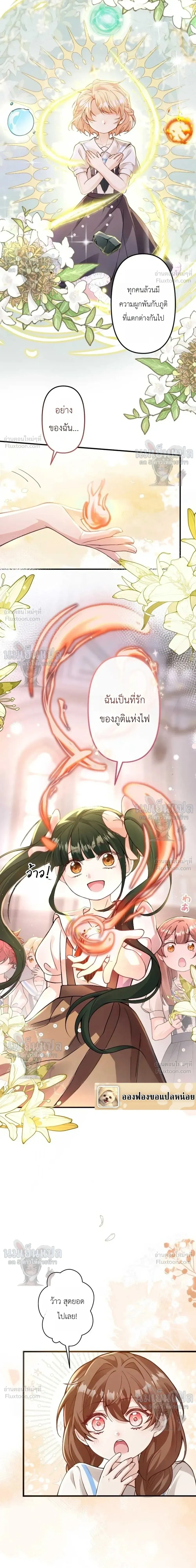หน้าที่ 31