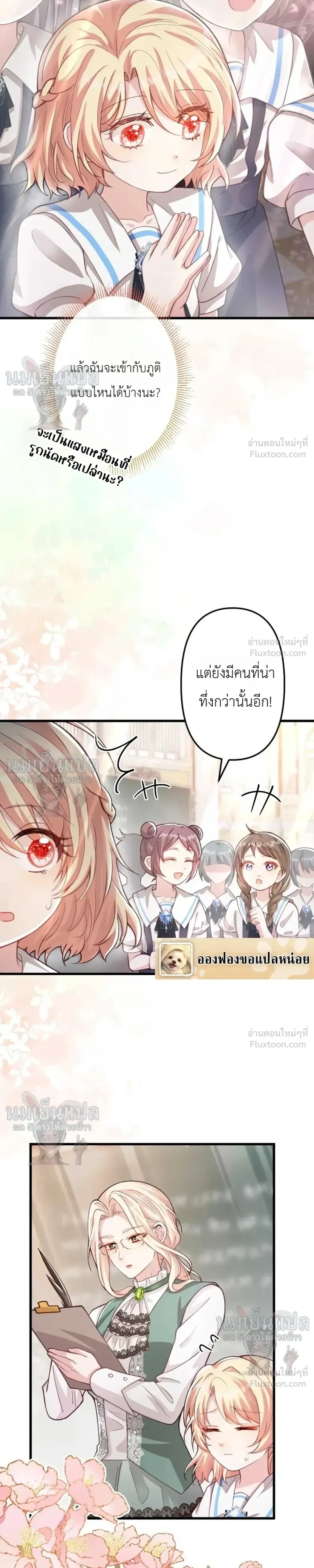หน้าที่ 11
