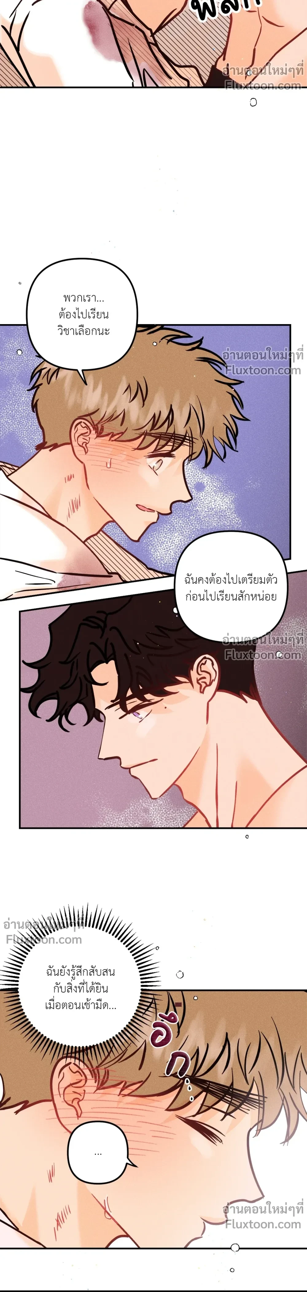 หน้าที่ 13