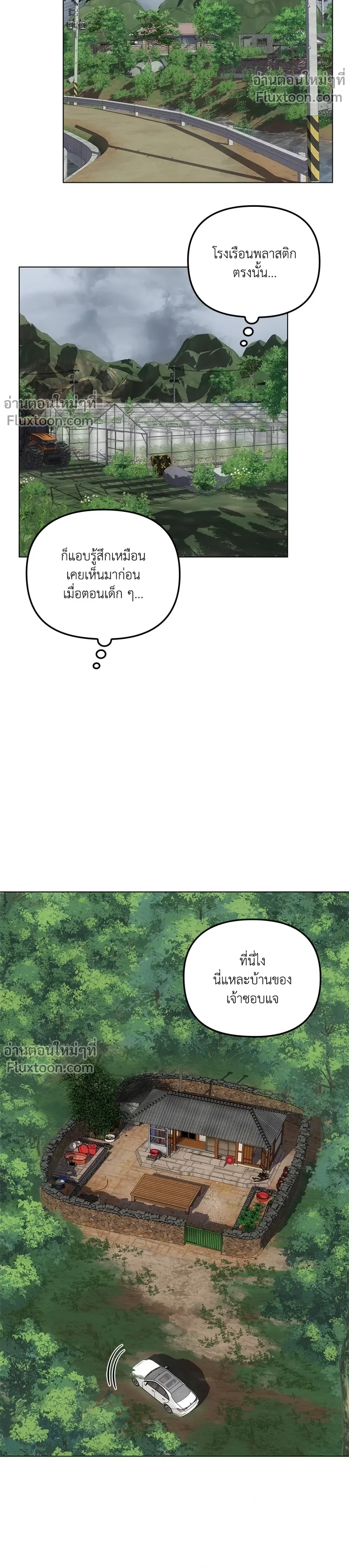 หน้าที่ 13