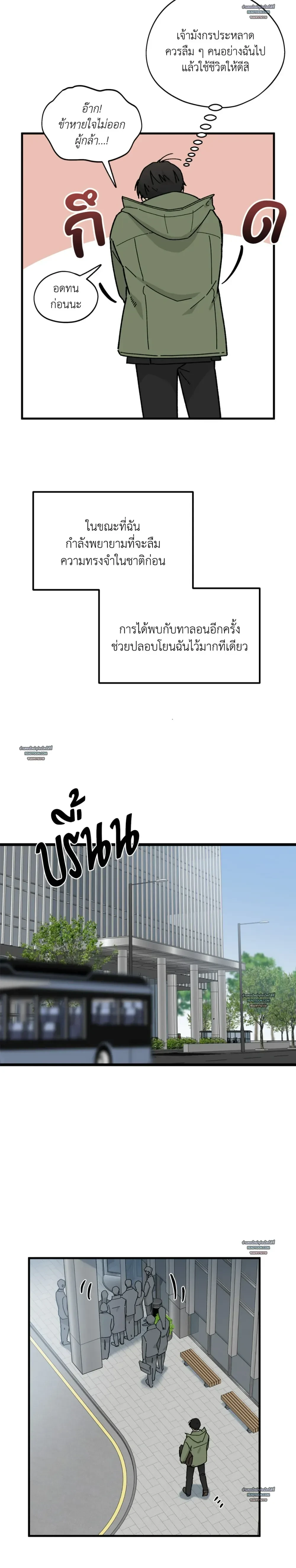 หน้าที่ 21