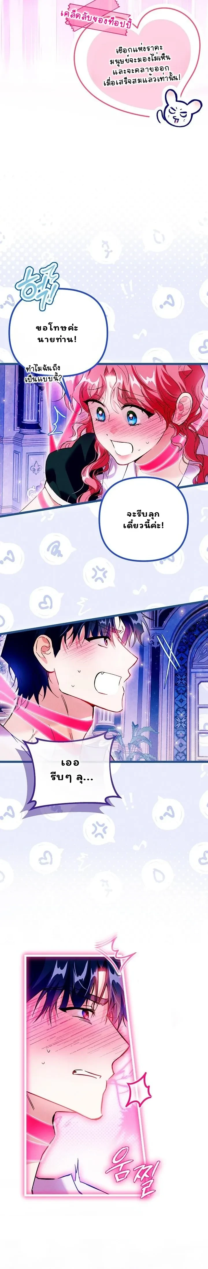 หน้าที่ 17