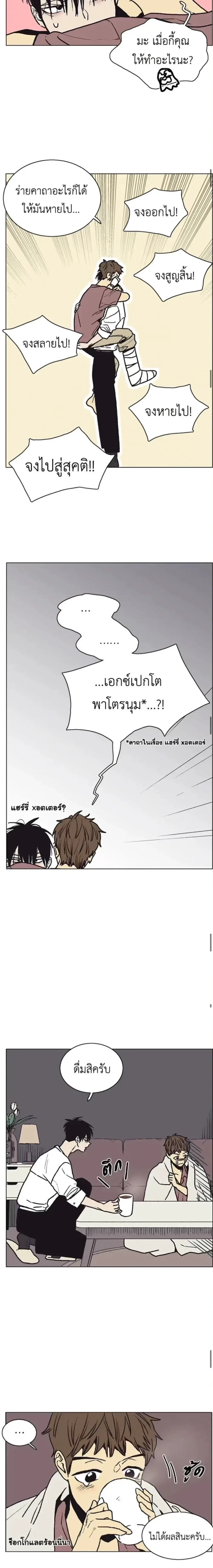 หน้าที่ 8