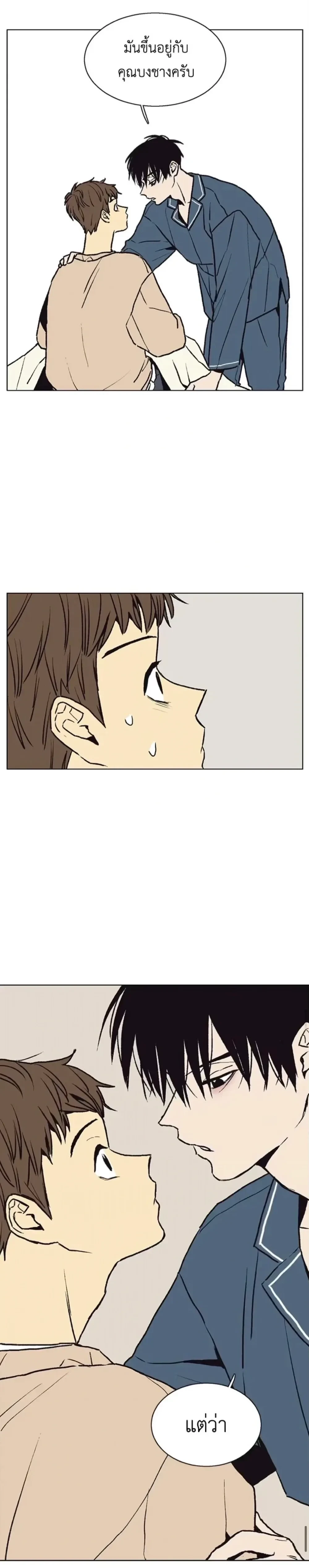 หน้าที่ 19