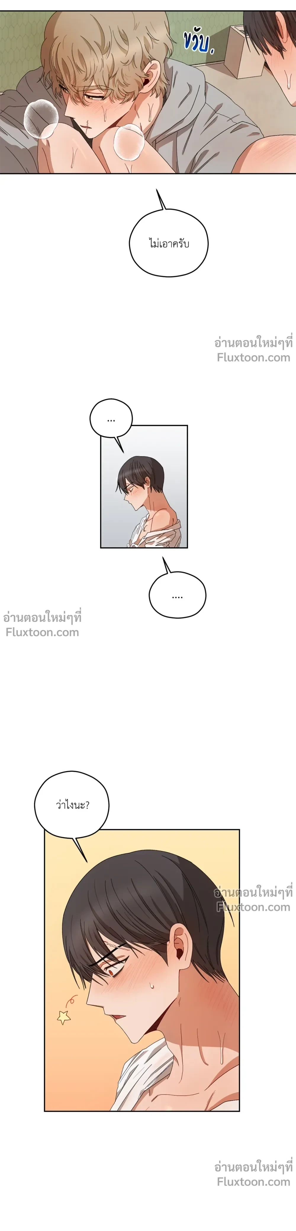 หน้าที่ 13