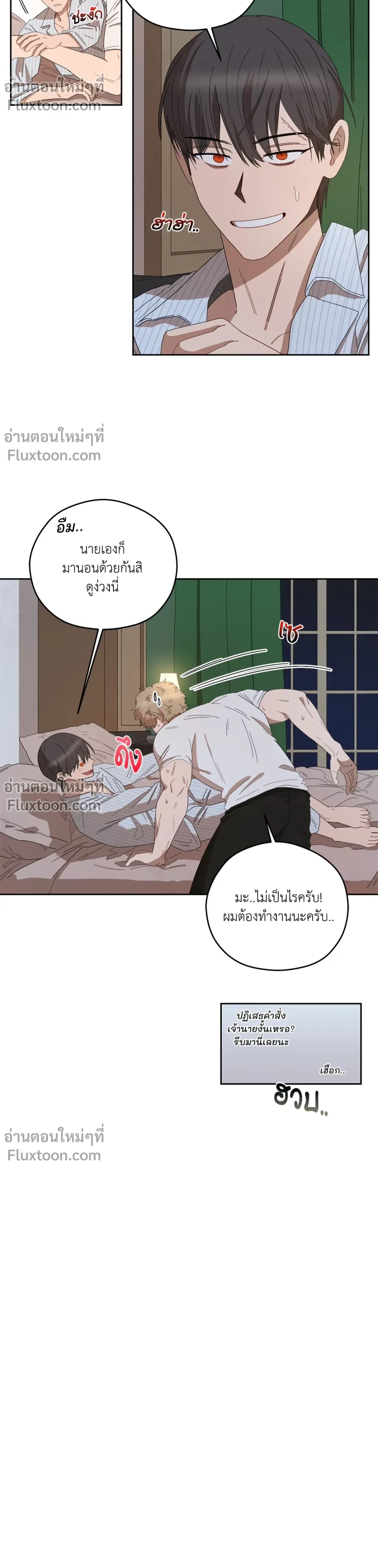 หน้าที่ 11