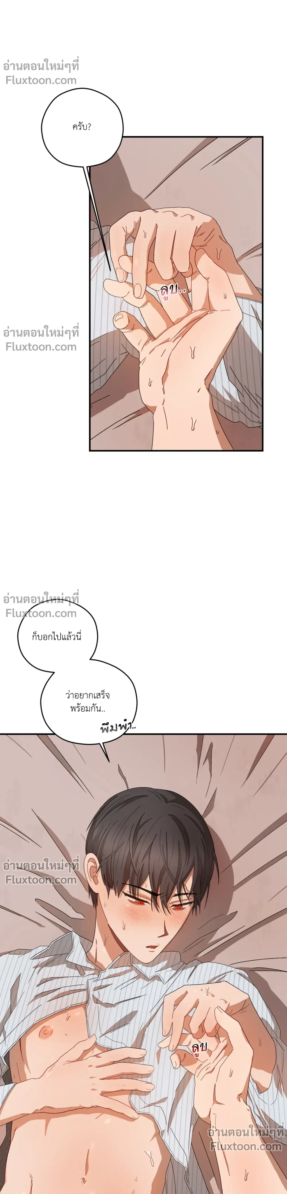 หน้าที่ 11