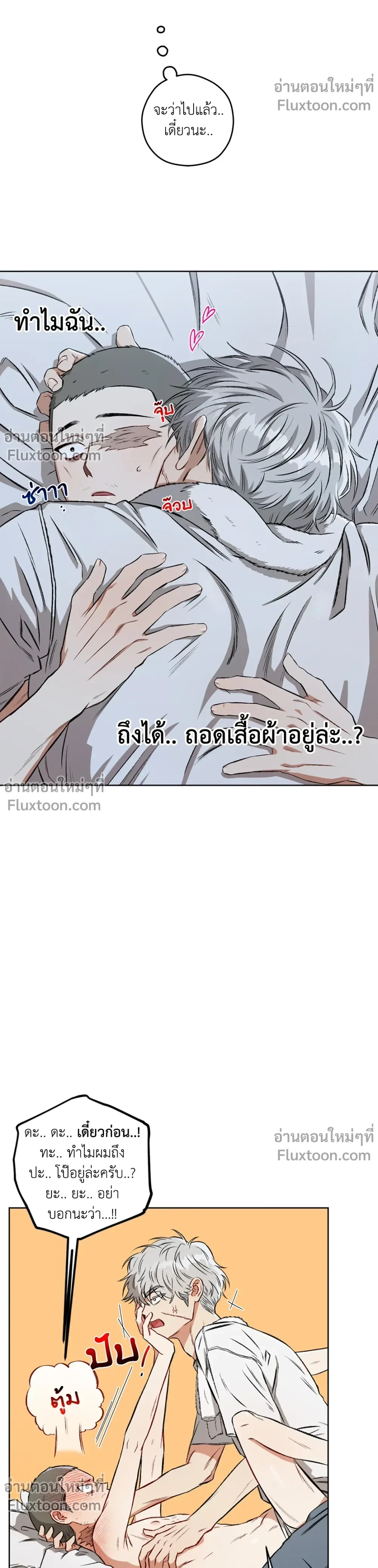 หน้าที่ 13