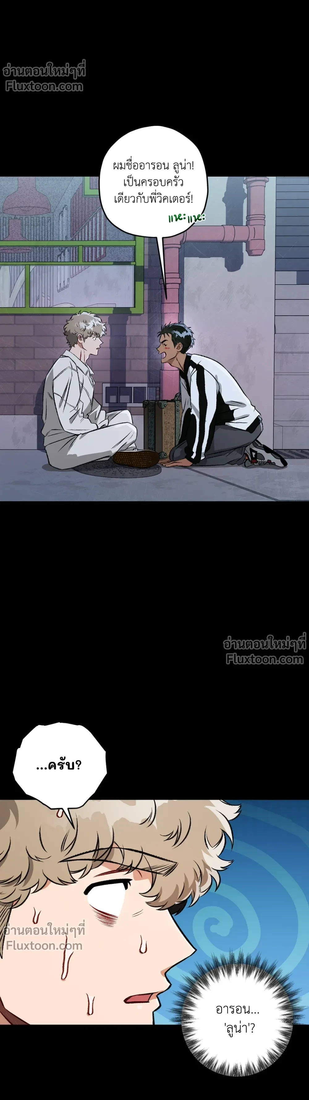 หน้าที่ 13