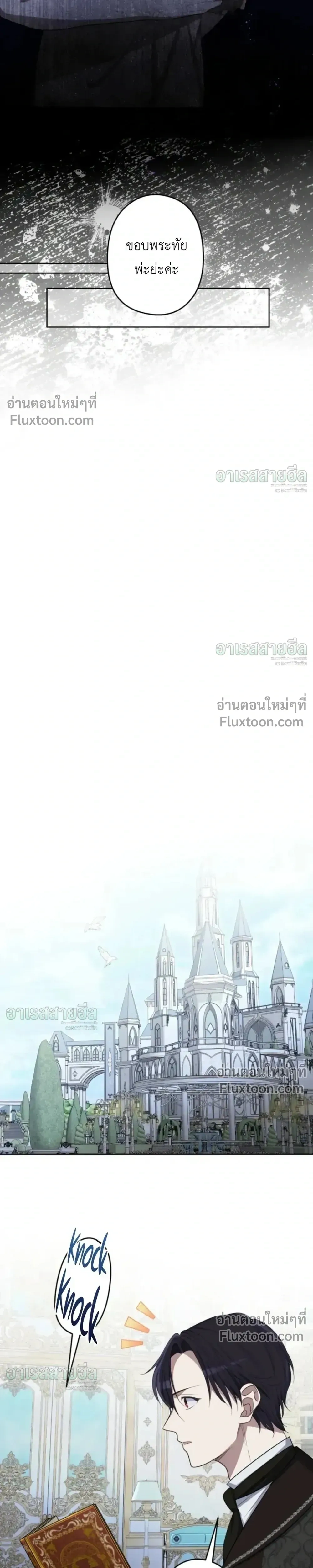 หน้าที่ 17