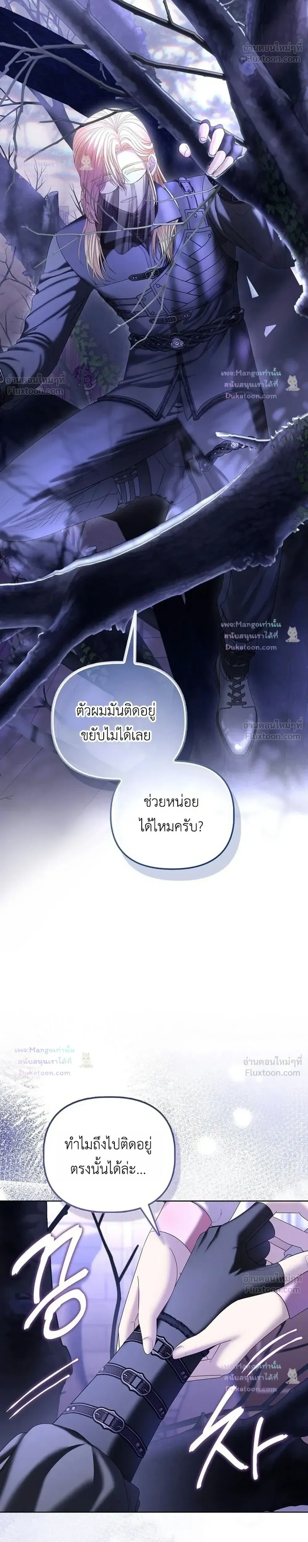 หน้าที่ 17